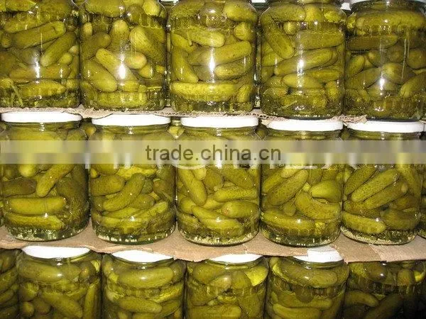 Good quality Vietnam fresh natural pickled cucumbers in jar 6-9cm