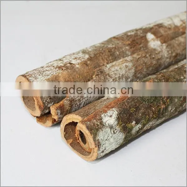 oil cassia (50% oil content)
