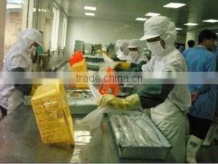 Ningbo Yinzhou Dahua Aquatic Products Factory company overview - view 1