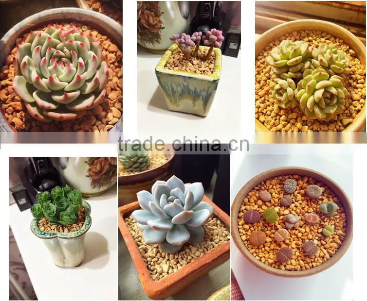 Cactus Soil/Gardening Soil/Trace Element Soil