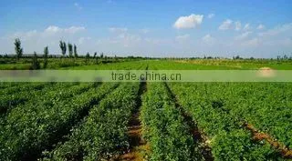 Taiyuan Mapon Humic Acid Development Co., Ltd. company overview - view 2