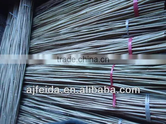 FD-20151231 Decorative Bamboo Pole/ large bamboo fishing poles