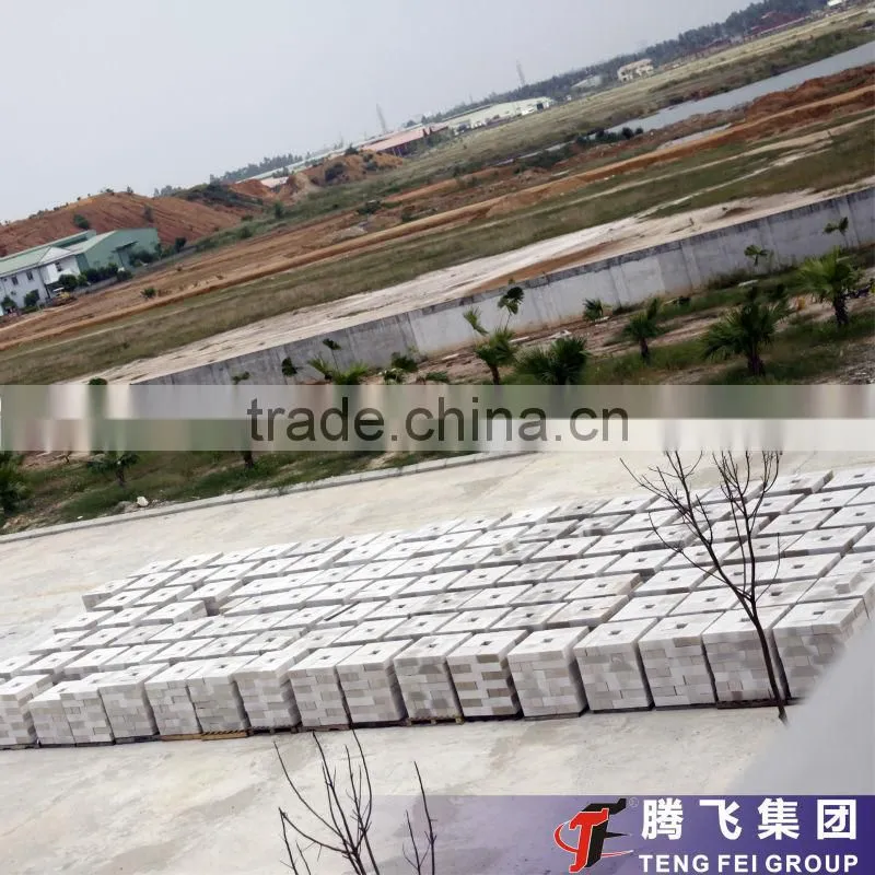 Professional production-Henan Teng Fei150,000m3 aac brick