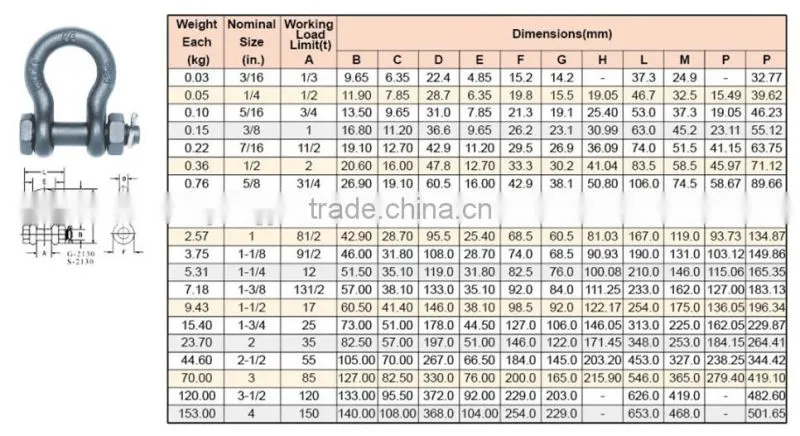 US Type U Shackle/Screw Pin Anchor Bow Shackle