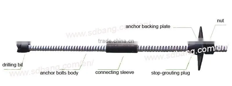 Self-drilling hollow anchor bolt assembly
