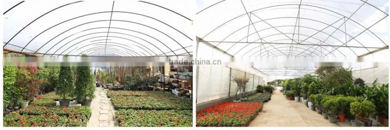 2016 New Type Agriculture Greenhouse