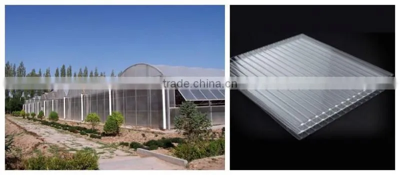 PC Material Polycarbonate Sheet Commercial Greenhouse