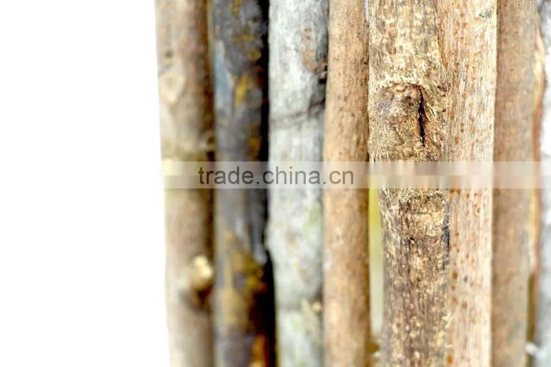 Wooden Pen Holder. Wood Branch Pen Pot, Square Wood Pen Holder