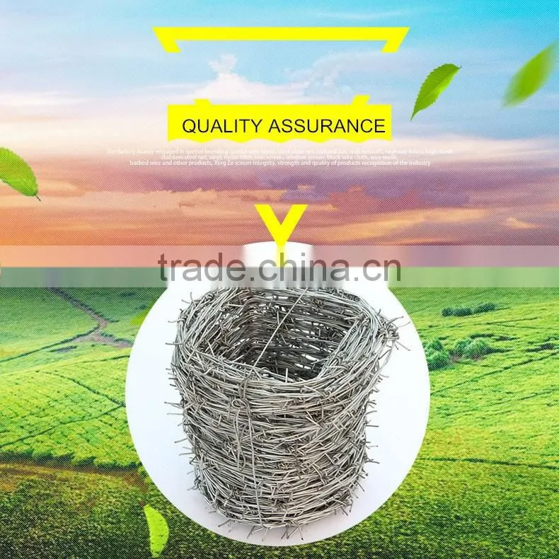 cheap price electro/hot dipped galvanized barbed wire