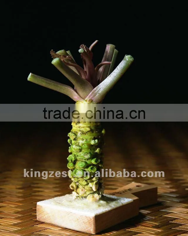 3g in sachet Seasoning Spices Green Wasabi