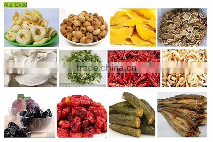 freeze drying fruit machine