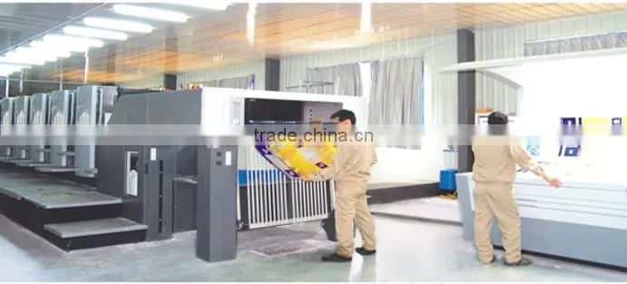 A4 Clear Customize Plastic Sheet Folder Display Book