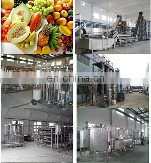complete automatic passion fruit juice processing machine