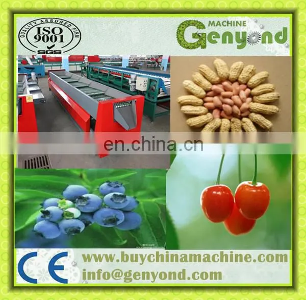 new type automatic multifunctional dates sorting machine