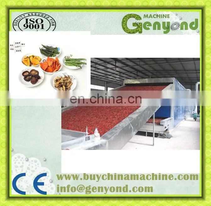 food tunnel dryer for drying fruit and vegetable