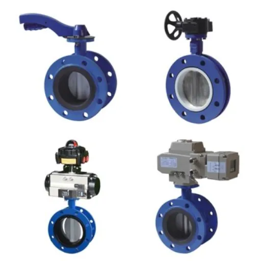 Understanding Butterfly Valves.png