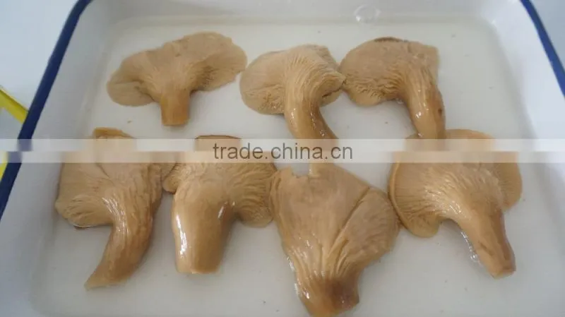 Canned abalone mushrooms slice for America