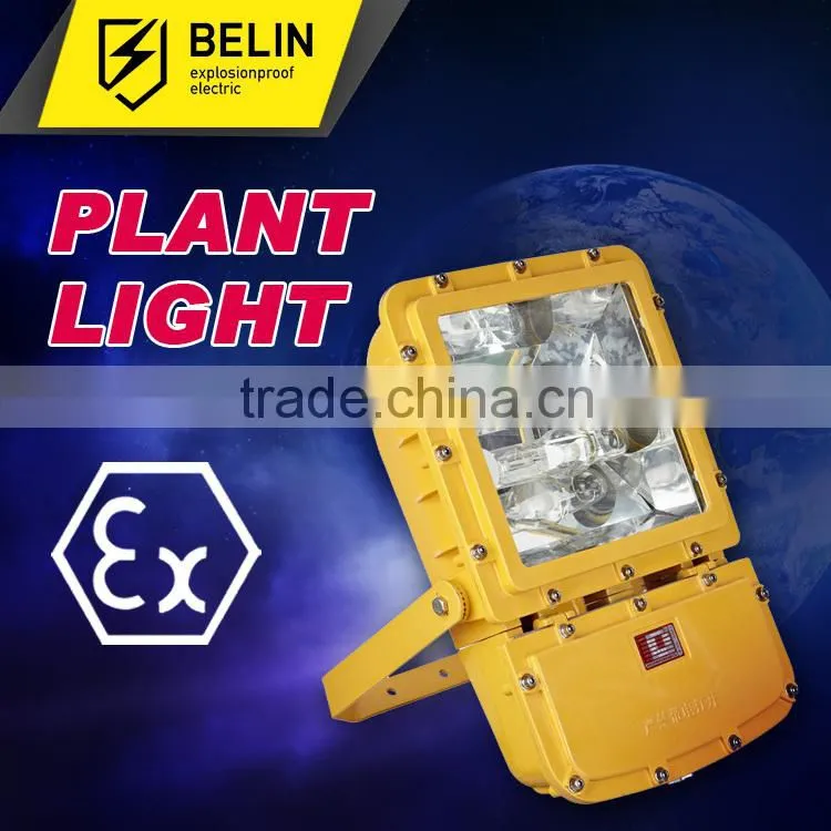 BFC8110/HN Explosion proof floodlight