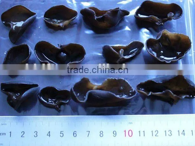 dried black fungus--samll size