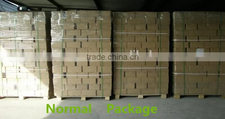IOS 9001 and CE Certification 10T cargo lashing belt with hooks