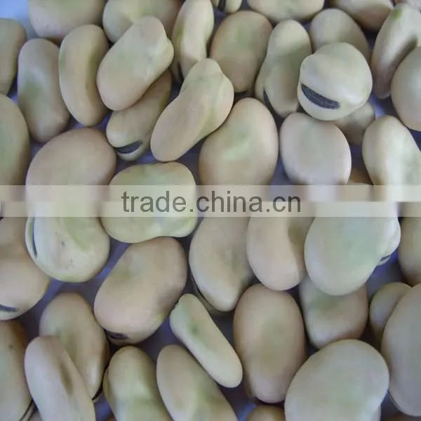 Private Label Organic Hulled Hemp Seed,Hemp Seeds,Shelled Hemp Seeds