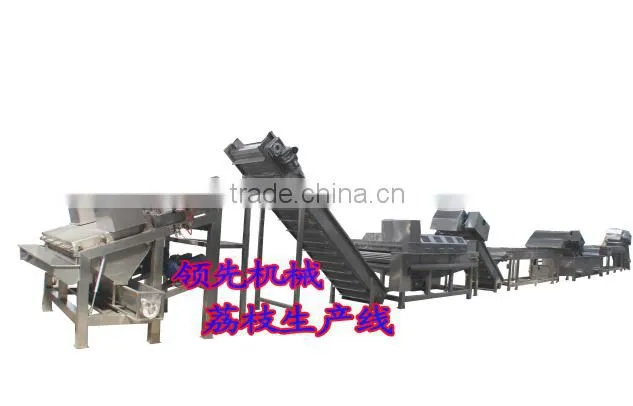 Litchi (longan) Crusher Separator