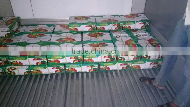 Indian Fresh long,dark Green and spicy green Chilli Exporter