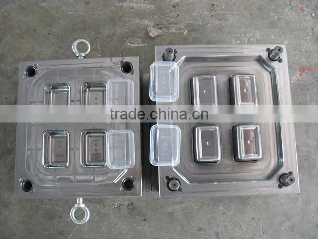 plastic cantainer mould