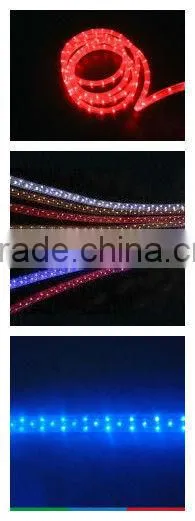 remote control christmas led rope light