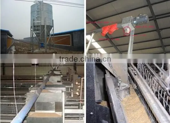 chicken layer cage