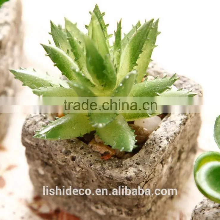 2016 Latest Design Artificial Succulent Pot Succulent Plants For Sale