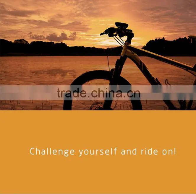 300 lm CREE LED bike lighting system