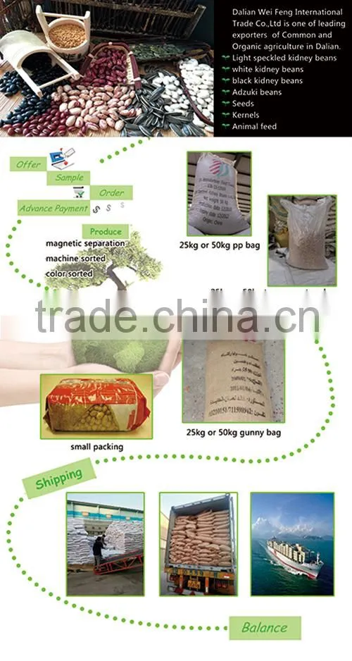 Chinese purple Speckled Kidney beans for sale