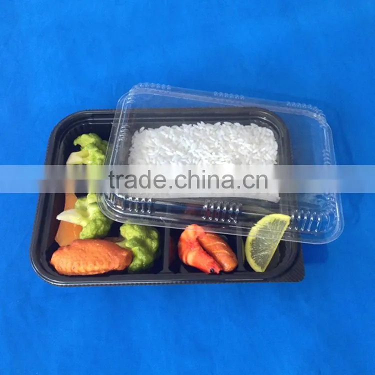 Disposable Food Container for Lunch