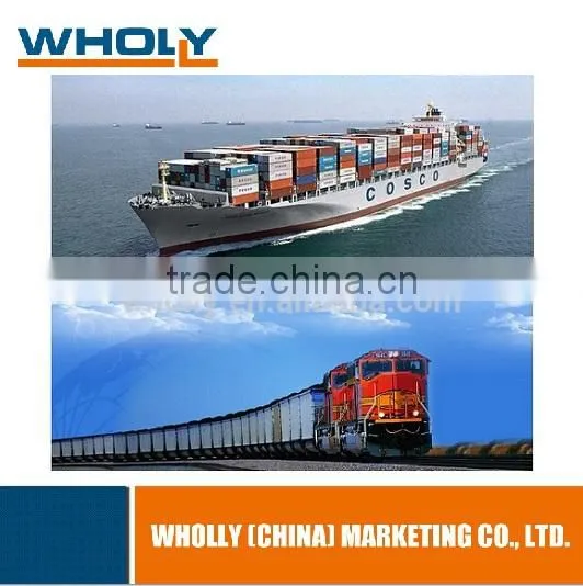 Stainless Steel Lost Wax Casting / Investment Casting