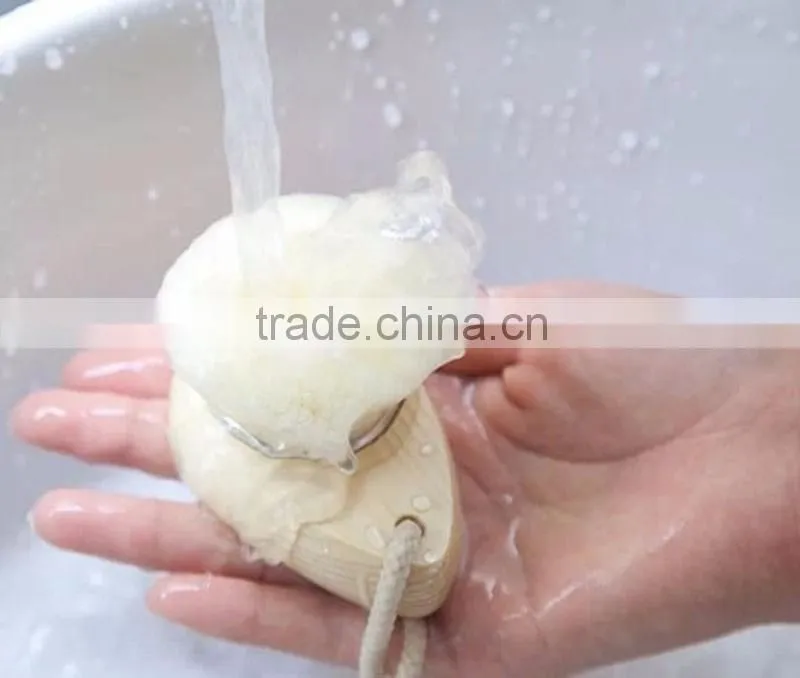 Shenzhen Factory Face Cleansing Brush for Personal