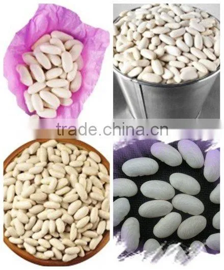White Kidney Beans(Baishake)