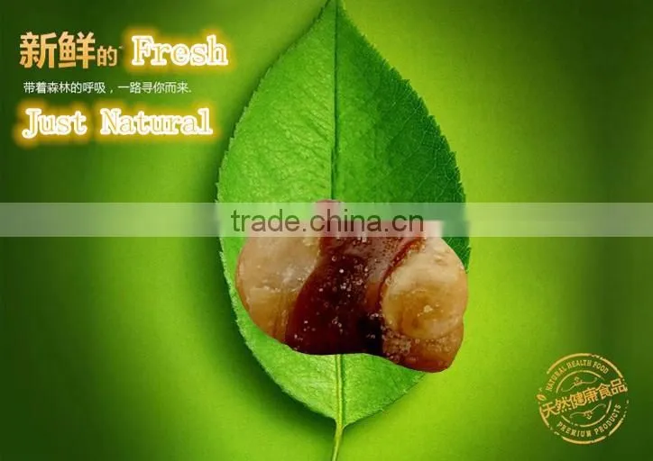 new premium food Salted Flavor Fried Broad Beans supplier Roasted Broad Bean Chips