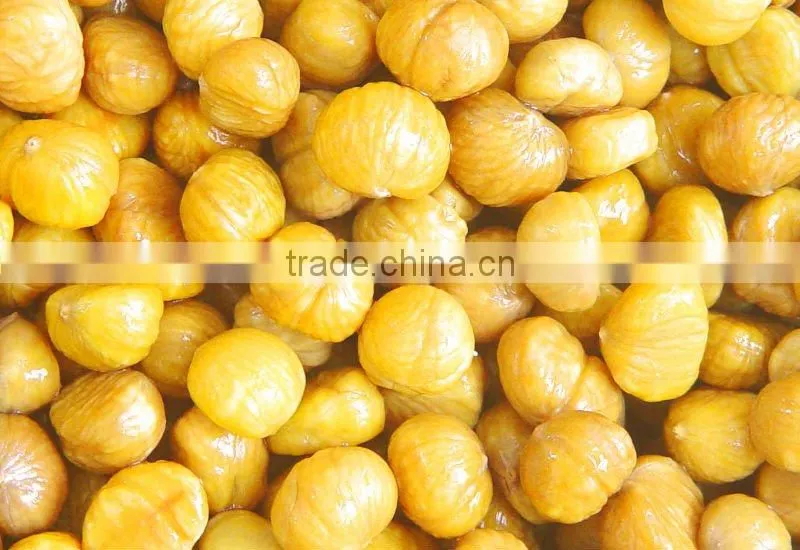 chestnut--snack food