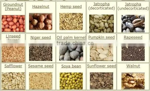 20 Tons Capacity biodiesel castor oil making machine