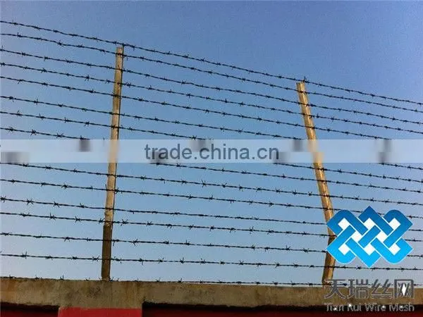 2013Hot-Salel! Low Price Galvanized/PVC Coated Barbed Wire(20yearsfactory)
