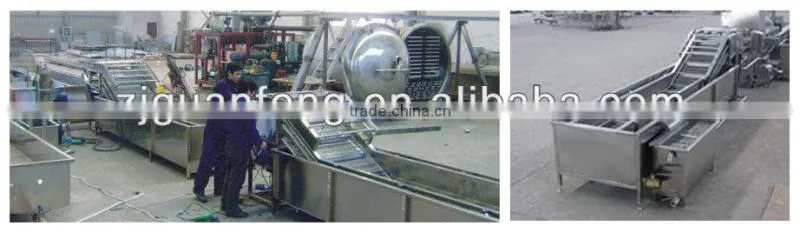 Cabbage washing machine and automatic cleaning washing for food