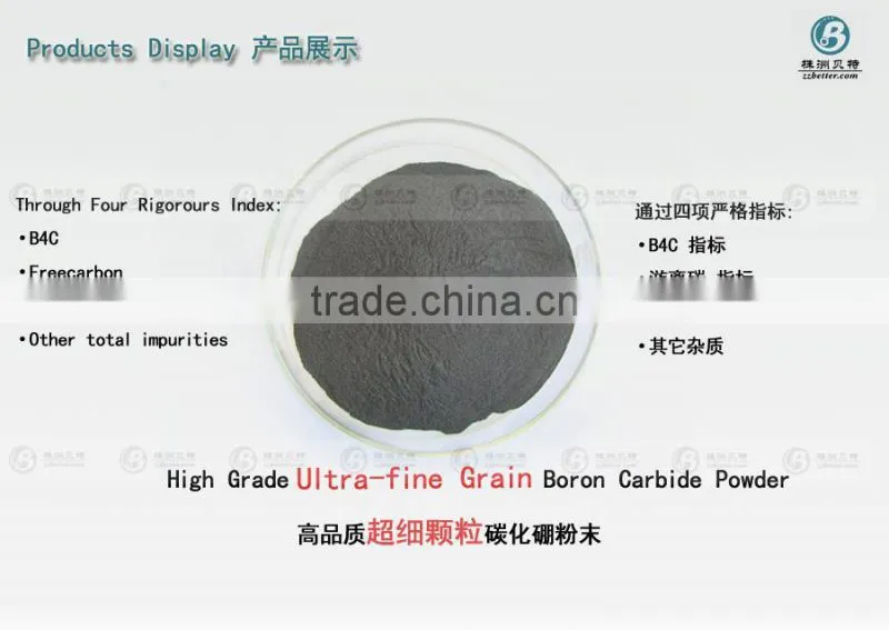 boron carbide nozzle/boron carbide /boron carbide price