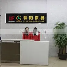 Foshan Liyoung Furniture Co., Ltd. company overview - view 1