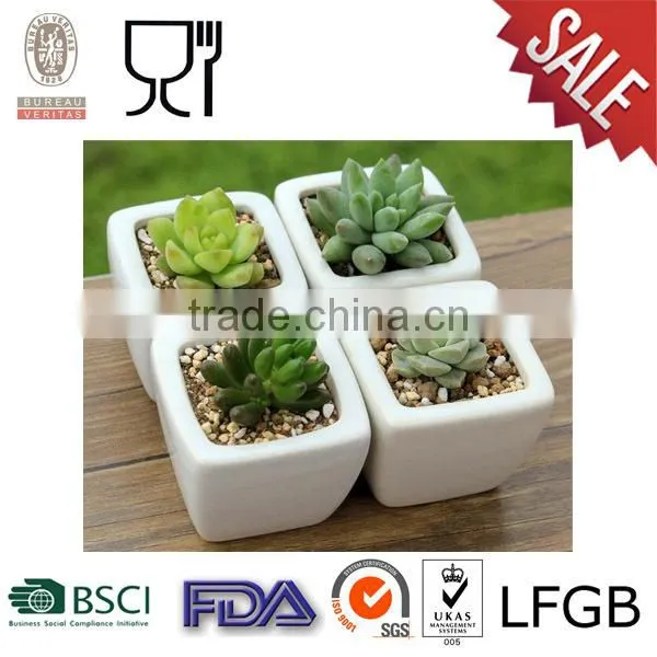 Plastic Square Flower Pot with white color