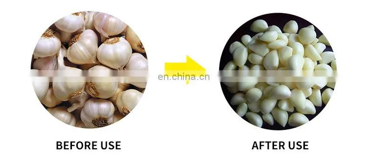 New type of China professional automatic garlic peeler garlic peeling machine