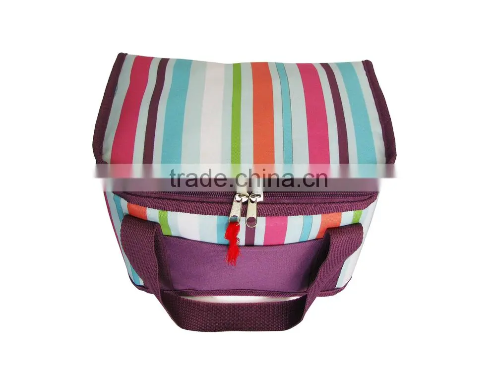 Lunch Cooler Bag