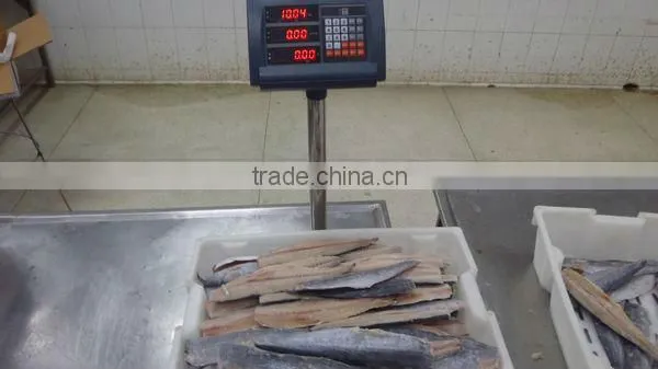 Frozen IQF Spanish Mackerel Fillet IQF Scomberomorus Niphonius King Fish Fillet