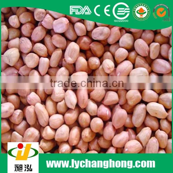 Roasted peanut in shells 2014 new crop