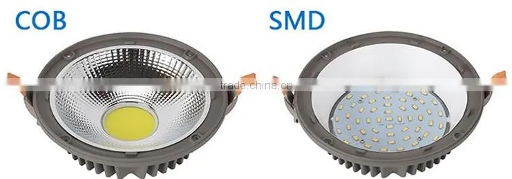 2016 hot sales 300 lumen led down light